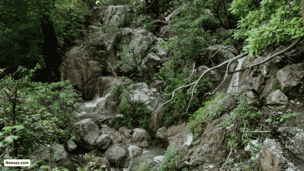Guide to Rishikesh